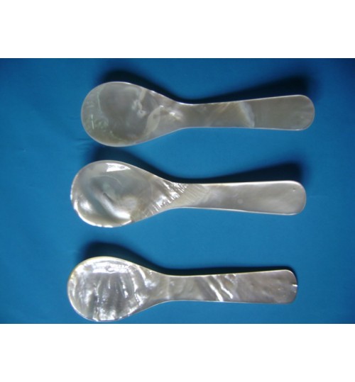Muỗng ốc trai